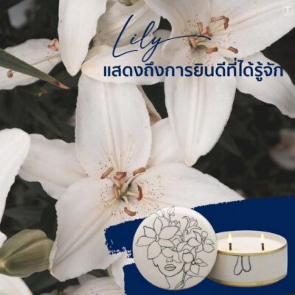 แสดงออกถึงความรักที่บริสุทธิ์เช่นเดียวกัน กับดอกกุหลาบสีขาว นอกจากนั้น ดอกลิลลี่สีขาว ยังแสดงออกถึง ความรักแบบอ่อนหวาน จริงใจ และเทิดทูน จึงมักถูกใช้แทน ประโยคที่ว่า “ฉันรู้สึกดีที่ได้รู้จักและอยู่ใกล้คุณ” ดอกลิลลี่สีขาวเหมาะสมกับโอกาส ที่ต้องการทำความรู้จัก แสดงความยินดีในวันรับปริญญาหรืองานมงคลต่างๆ